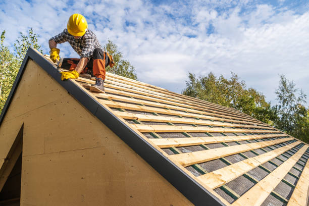 Best Roof Gutter Cleaning  in Thatcher, AZ